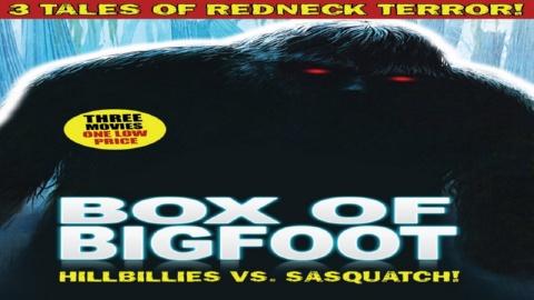 Box of Bigfoot: Hillbillies Vs. Sasquatch (1983)