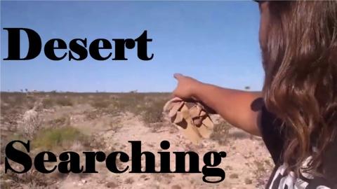 Desert Searching (2020)