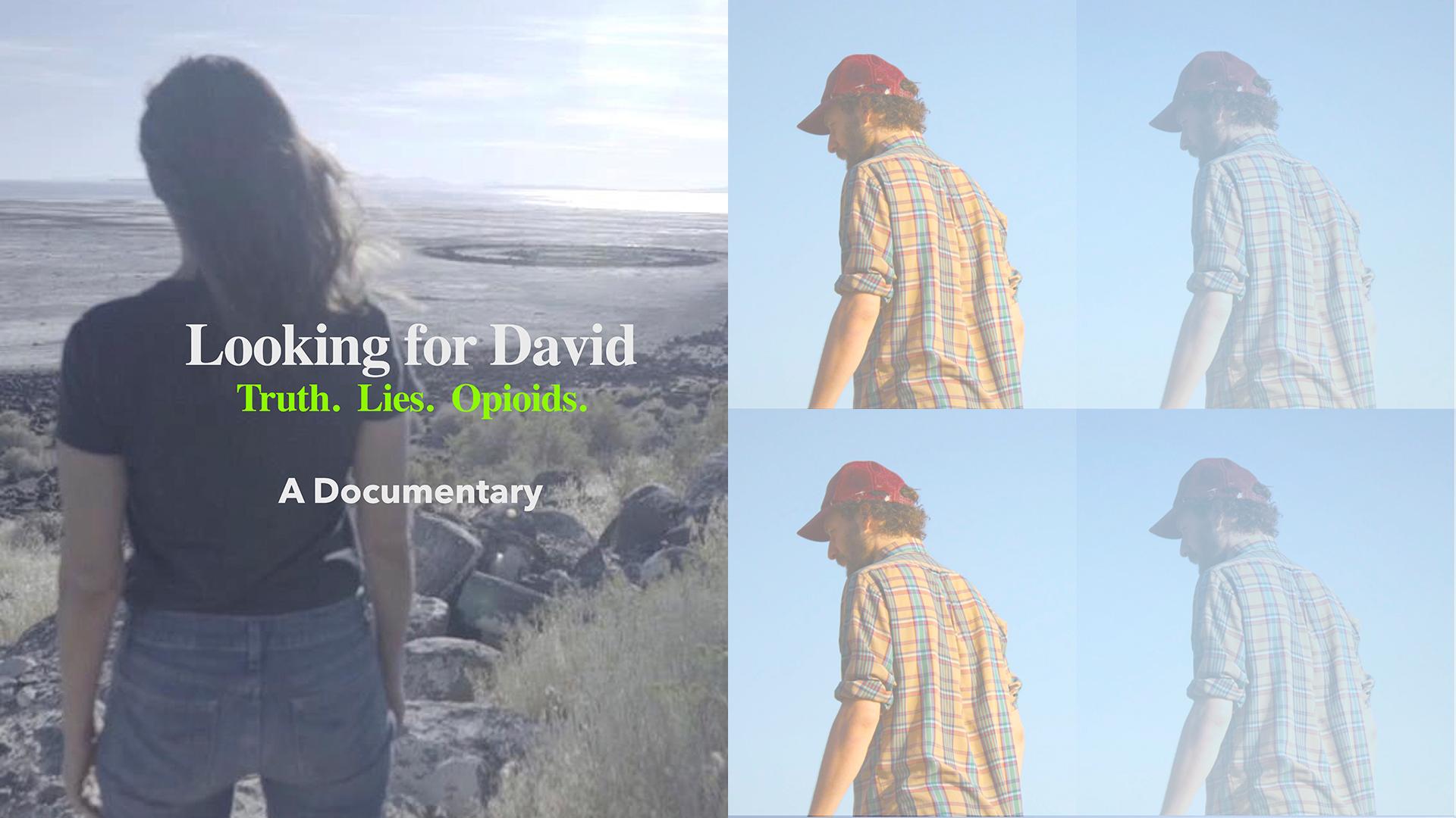 Looking For David (2017)