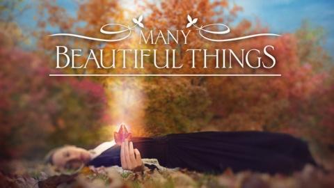 Many Beautiful Things: The Life and Vision of Lilias Trotter (2019)