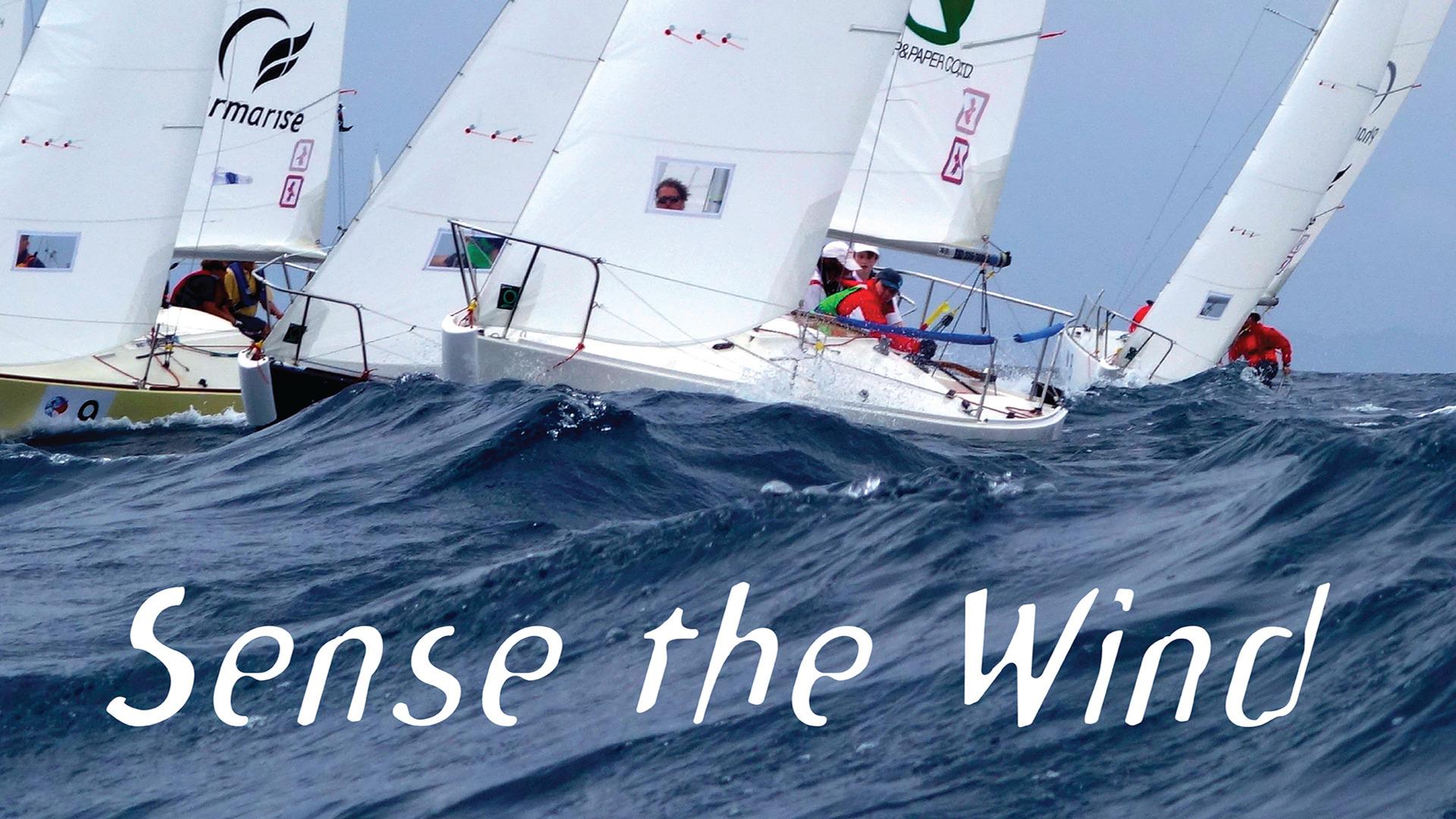 Sense The Wind (2015)